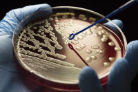 Evropljani pogrešno vjeruju da antibiotici ubijaju viruse