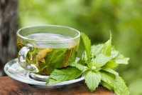 Čaj od nane smanjuje salo na stomaku, tvrdi istraživanje