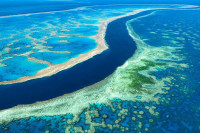 UN: Veliki australijski greben treba staviti na listu ugrožene svjetske baštine