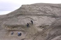 Најстарији икада откривен ДНК материјал пронађен на Гренланду
