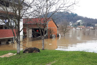 У Костајници поплављено шест кућа