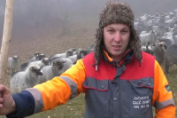 Номад Ранко Галић (27)  на газдинству има 200 грла: Овце драже од фотеље