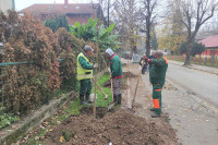 Na više lokacija u Banjaluci podignuti novi i rekonstruisani postojeći drvoredi