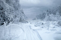 U Sibiru ove godine temperature idu i do -62 stepena