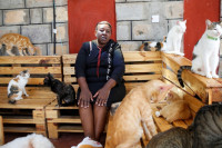 Кенијка у свом четворособном дому отворила склониште за 600 мачака