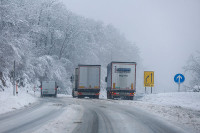 Снијег у Словенији оборио више од 160 стабала, дијелови земље и даље без струје