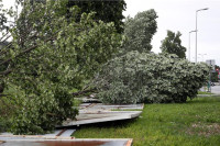 Olujni vjetar rušio stabla i telefonske stubove