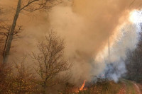 Požari usred zime, u Popovom polju gori nisko rastinje