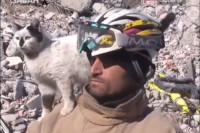 Mačka spašena iz ruševina: Ne odvaja se od spasioca