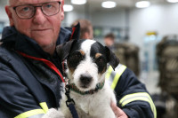Psi tragači - velika pomoć spasiocim