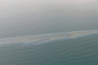 Уљна мрља на обали код Рафинерије нафте у Ријеци