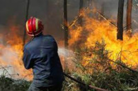 Lokalizovan požar na Bardači, nema opasnosti od širenja