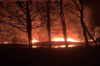 Požar u Bardači digao na noge mještane i vatrogasce: Odbranjena staništa rijetkih ptica