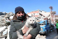Kućni ljubimci koji su izgubili vlasnike u zemljotresima u Turskoj traže nove domove
