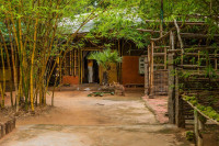Održivi grad u kom vlada harmonija i jedinstvo: Aurovil na jugu Indije mnogi smatraju idealnim mjestom za život
