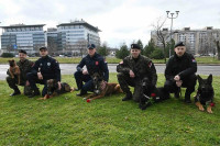 Policajci danas najviše zaustavljali žene: Čak je i pas Zigi pokazao “galantnost”