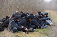 Dva lica uhapšena zbog krijumčarenje migranata iz Turske