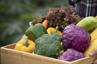 Lista voća i povrća koje sadrži najviše pesticida