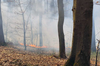 Ugašen šumski požar na lokalitetu Gornja Trnovica