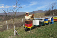 Radoslav Janković, pčelar iz Rogatice: Svaka košnica rudnik zlata