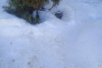 U Rožajama 32 centimetara snijega