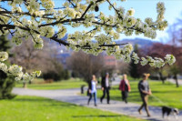 Danas pretežno sunčano, temperatura do 20 stepeni