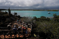 Galapagos: Otkriven prvi potpuno očuvan koralni greben sa bujnim morskim svijetom