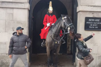 Коњ Краљеве гарде напао туристкињу