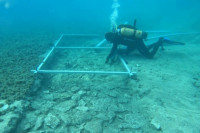 На Корчули пронађен подводни остатак пута старог готово 7.000 година