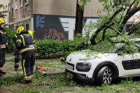 Стабло пало на аутомобил у центру Загреба