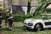 Stablo palo na automobil u centru Zagreba