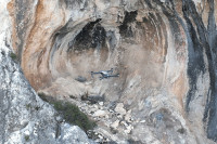 Праисторијске пећинске слике откривене у Шпанији помоћу дронова
