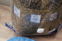 У полицијској акцији у Призрену заплијењено више од десет килограма марихуане