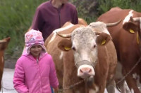 Putuje svakog dana osam kilometara do škole, odličan je đak i Tijana ima jednu želju