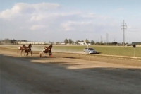Najbolji konj Nikole Jokića u finišu izgubio trku za pehar VIDEO