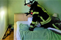 Lisica ušetala u spavaću sobu, intervenisali vatrogasci