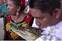 Градоначелник се вјенчао са крокодилом (VIDEO)