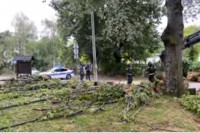 Jak vjetar čupao drveće u Zagrebu i Karlovcu