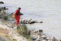 Žena skočila u Dunav, tijelo nakon dva dana isplivalo u Vukovaru