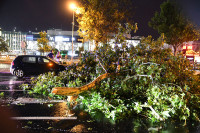Ćelijska oluja u Novom Sadu nanijela štetu na više od 300 lokacija