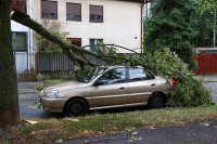 U Zagrebu srušeno 1.000 stabala, hitne službe primile 11.000 poziva