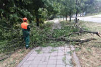 У Новом Саду проглашено ванредно стање