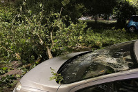 Snažna oluja pogodila Srbiju, vjetar u Somboru lomio stabla