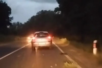 Ужасан снимак из Србије: Дрво пало на ауто усред вожње