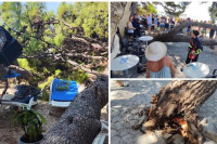 Palo stablo na plaži u Hrvatskoj, četvoro povrijeđenih