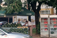 Купци предност дају увозној лубеници