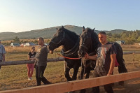 На "Штрапаријади" у Прекаји 1.000 љубитеља коња, стигли и из САД