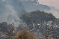 Više od 600 vatrogasaca gasi požar u Portugalu