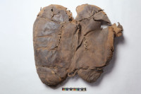 Кина: Пронађено најстарије познато сједло за јахање старо више од 2.400 година