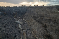 „Црнило и пустош“: Овако изгледа острво Чиово након пожара